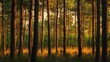 © PUKPIK - Serene Pine Forest Under Golden Hour Sky - Tranquil Nature Landscape at Dusk