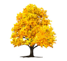 Wall Mural - vertor set of autumn tree,plants side view for landscape elevation and section,eco environment conce
