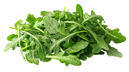 Fresh Arugula Leaves Isolated on White Background