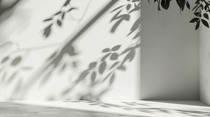 Wall Mural - Ethereal shadows of delicate leaves dance on a pristine white wall, creating a mesmerizing interplay of light and nature in a serene, minimalist space.