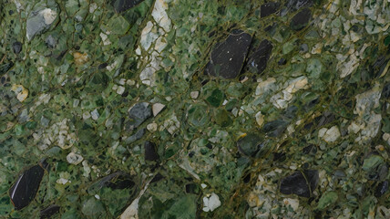 Canvas Print -  green granite, showcasing its rich color variations and mineral inclusions