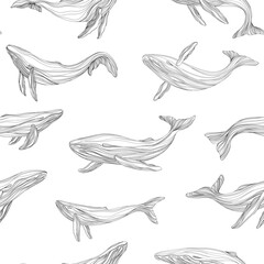 Wall Mural - Seamless pattern with hand drawn whales. Abstract  illustration in sketch style.