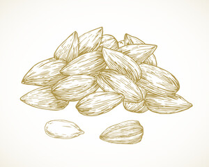 Wall Mural - sunflower seeds pile. hand drawn sketch seeds vector illustration. natural vegan plant based fruit f