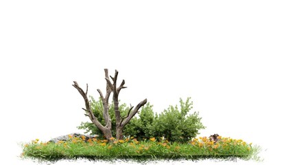 Poster - death tree and animation small tree with green grass footage, 3d illustration rendering