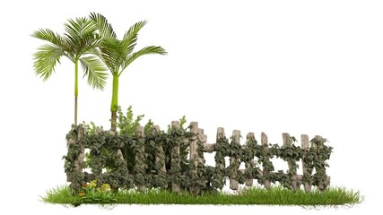 Fototapete - footage of gtropical tree with green grass and wooden fence on a white background, 3d illustration rendering