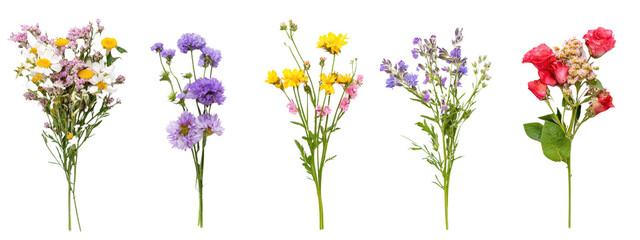 Wall Mural - A row of flowers with a variety of colors including yellow, orange, pink, purple