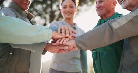 Wall Mural - Senior, group and woman with hands together in park for fitness motivation, team building and support for health. Elderly people, caregiver and pile gesture in nature for wellness success or teamwork