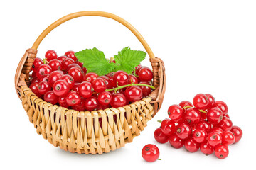 Wall Mural - Red currant berries in a wicker basket with leaf isolated on white background