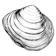 Wall Mural - Clams Illustration, Black and White, Seafood Concept