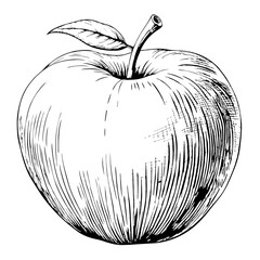 Wall Mural - Apple Illustration, Black and White, Fruit Concept