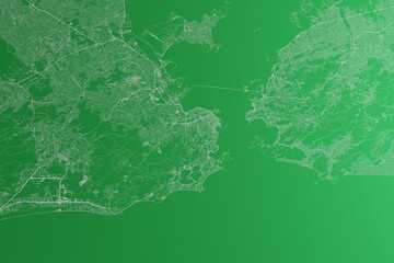 Poster - Map of the streets of Rio de Janeiro (Brazil) made with white lines on green paper. Rough background. 3d render, illustration