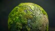 © Artful Stock - Moss-Covered Globe A Close-Up Perspective, Green and Grey, Macro, Nature, Earth , moss , texture