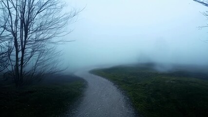 Poster - The misty fog adds a touch of ethereal beauty to the path but also heightens its mysterious atmosphere.