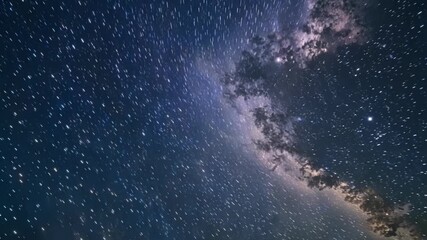 Wall Mural - A shimmering canopy of ling stars stretching endlessly into the horizon inviting us to explore the unknown.