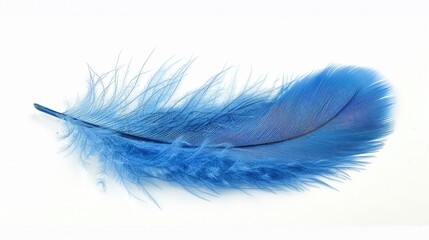 Sticker - A single blue feather lies on a white surface