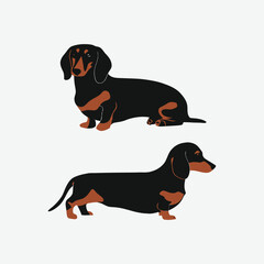 Dachshund dog silhouette set animals vector template illustration