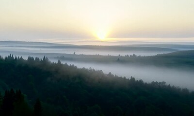 Wall Mural - Sunrise Over Misty Forest Landscape 