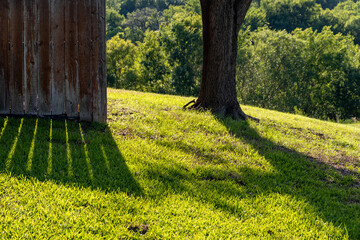 Wall Mural - shadows projected of a fence