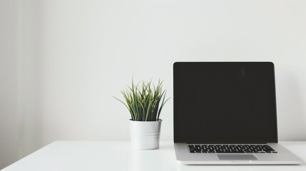 Wall Mural - A laptop computer with a blank screen sits on a white desk next to a potted plant.