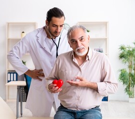 Wall Mural - Old man visiting young male doctor cardiologist