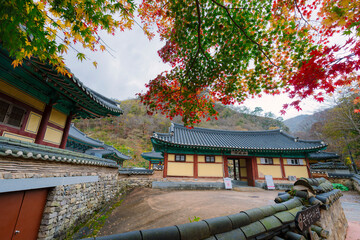 Wall Mural - beautifully captures autumn at Naejangsan, Korea, where traditional Korean temples are framed by vibrant red and orange leaves, set against a serene mountain backdrop.