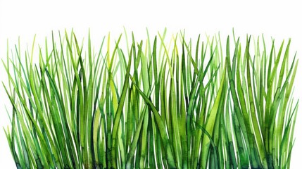 Canvas Print - Lush green grass in a serene meadow, beautifully rendered in watercolor, perfect for natureinspired designs.