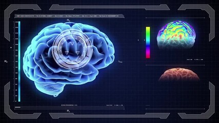 Wall Mural - digital brain and heart scan hud screen animation. hud animation heart scan of futuristic display to