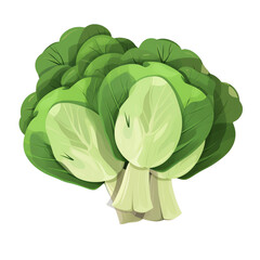 Wall Mural - Illustration of fresh broccoli with green leaves showcasing its healthy and nutritious appearance, perfect for food-related projects.