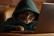 © AungThurein - A cute cat hacker wearing a hoodie with a laptop