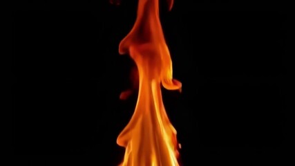 Wall Mural - a captivating display of flames rising against a black background, emphasizing motion and intensity 