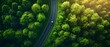 © Jittapon - Lush green scenic winding road with electric vehicle and cinematic lighting  Aerial top down view of a serene forest landscape with a clean curving path leading through the verdant foliage