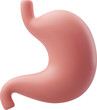 © Kannapat - 3d Vector Human stomach, Gastrointestinal tract, Internal organs concept.