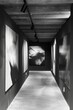 © grey - Monochrome Art Corridor. A minimalist corridor with a monochromatic color scheme, where the walls are adorned with large, abstract black-and-white paintings.