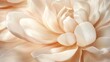 © thipparat - Close-up of elegant petals in soft beige and cream hues, creating a delicate and sophisticated floral background