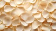 © thipparat - Overhead view of beige and cream flower petals arranged elegantly, providing a serene and stylish background