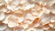 © thipparat - Overhead view of beige and cream flower petals arranged elegantly, providing a serene and stylish background