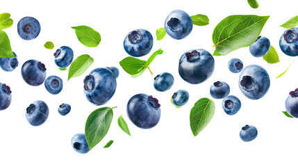 Wall Mural - blueberries with green leaves isolated on transparent white background, clipping path