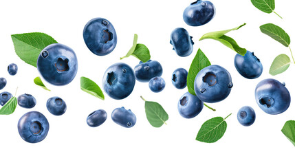 Wall Mural - blueberries with green leaves isolated on transparent white background, clipping path