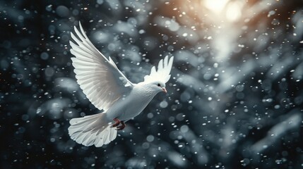 white doves in the sky are a peaceful and spiritual symbol of Christian people