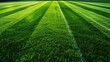 © Wattana - A freshly mowed football grass field with visible stripes