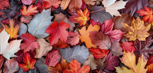 Poster - Colorful Autumn Leaves Piled on White Surface in Natural Light