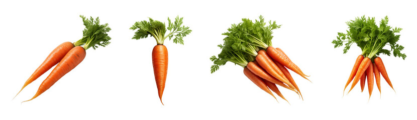 Set of organic carrots cutouts. Isolated on a transparent background.