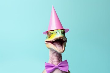 Canvas Print - Creative photos of an animal with a hat and colored background to celebrate birthdays