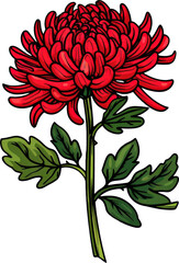 Poster - Red Chrysanthemum