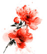 © Tran - Red flower ink drawing isolated on transparent background. PNG
