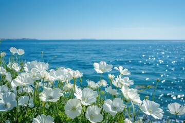 Sticker - A field of white flowers near a body of water, great for nature or serene scenes