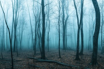 Wall Mural - A forest with trees and fog. Scene is mysterious and eerie