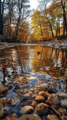 Sticker - Autumn Reflection in a Forest Stream