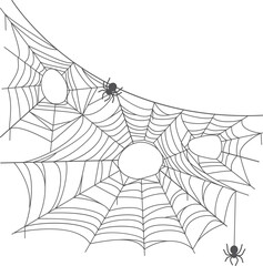 Wall Mural - decorative spider net. black line cobweb silhouette
