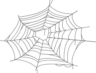 Wall Mural - old spider net. cobweb black line silhouette
